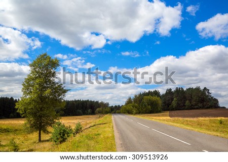 asphalted road. landscape with trees on the background of blue sky with clouds