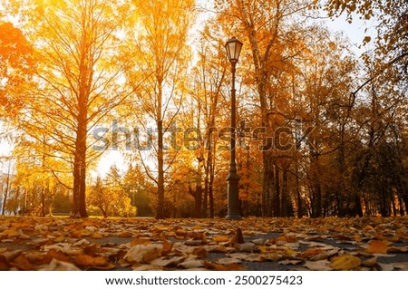 Similar – Foto Bild Novemberblick auf den Bodensee