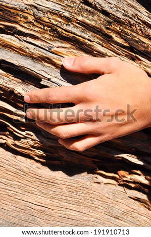 Hand over old fallen tree trunk.