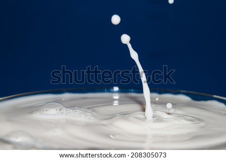 drop of milk frozen in time