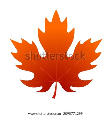 Autumn Fall Season Red Maple Leaf vector illustration Flat design style Logo Icon Clipart