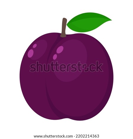 plum flat vector illustration logo icon clipart isolated on white background