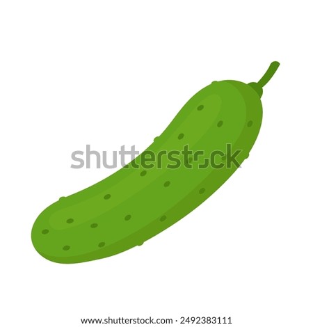 Cucumber flat vector illustration icon clipart