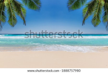 The leaves of palm trees on Sunny tropical beach.  Summer vacation and tropical beach background concept. 