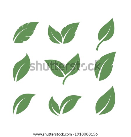 green leaf ecology nature element  vector icon design