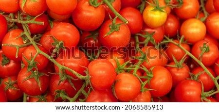 A lot of red tomatoes, texture background. Pile of fresh ripe cherry tomatoes pattern, high quality 