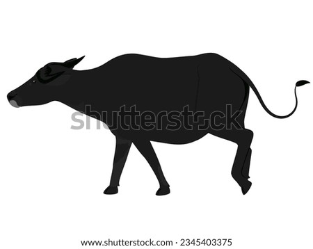 Water buffalo on a white background.