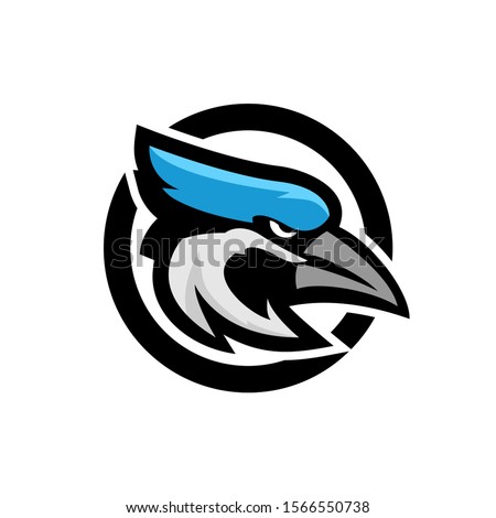 Toronto Blue Jays Blue Jays Logo Png Stunning Free Transparent Png Clipart Images Free Download