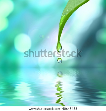 Green Leaf