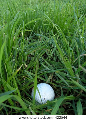 Golf ball in rough long grass presents makes for a difficult shot.