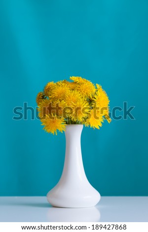bouquet  of  yellow dandelions  in white  vase on light  blue  background