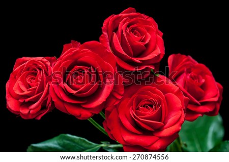 Floral background, bouquet of beautiful red roses on black, wallpaper, greeting card