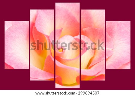 Floral  background, wallpaper. Collage of  five  sets, sweet pink  rose  on dark  burgundy, claret  field. Interior design decoration.