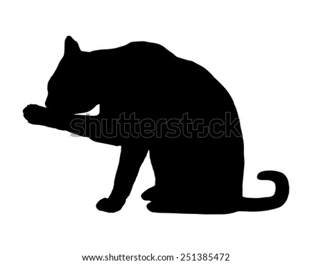 Cat On White Stock Vector Illustration 251385472 : Shutterstock