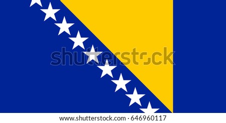 Colored flag of Bosnia and Herzegovina