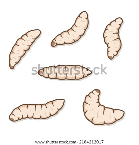 Illustrations of maggots worms isolated on white background