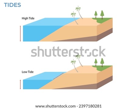 High and low tides. Landscape sea with palm trees. water ​​level