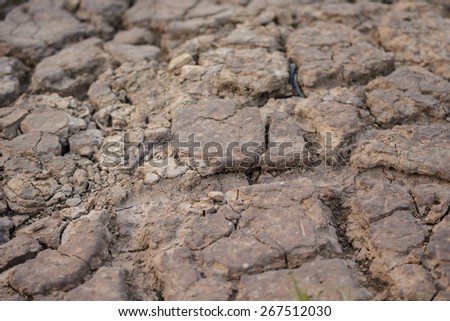 arid ground fissure no water warming
