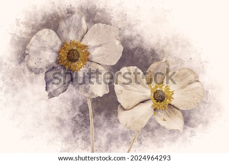 Watercolor painting of a Anemone hupehensis flower, known as the Chinese anemone or Japanese anemone, thimble flower, or the wind. close up