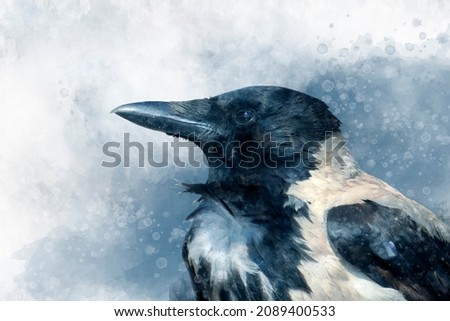 Portrait of a Magpie bird, watercolor painting