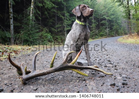 Shutterstock Puzzlepix