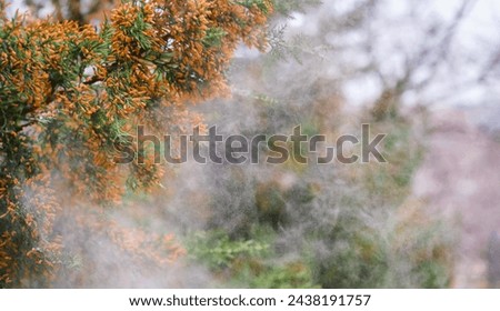 Foto Bild Frühlingsgefühle Unschärfe