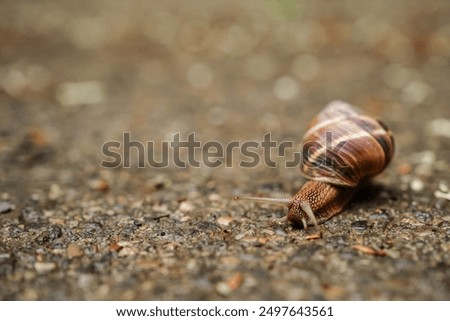 Similar – Image, Stock Photo Spiral of violence Colour