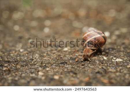 Similar – Image, Stock Photo Spiral of violence Colour