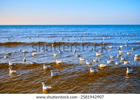 Similar – Foto Bild Küstenschutz mit Vogel in Friesland