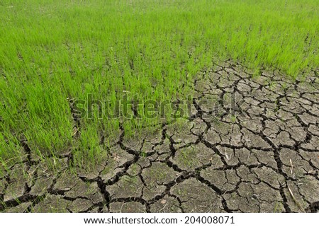 Barren ground Farming And ground fissures