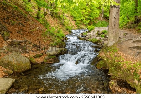 Similar – Foto Bild Nasse Füsse Wasser