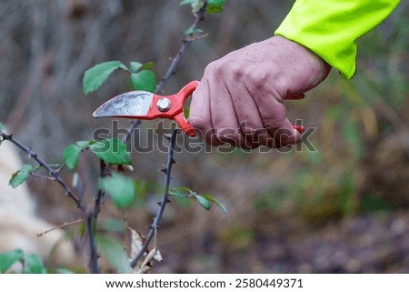 Image, Stock Photo Hand grips branch with thorns