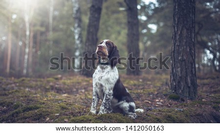 Shutterstock Puzzlepix