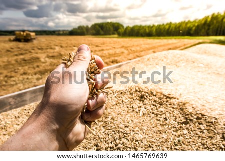 Similar – Image, Stock Photo Harvester combine working in the field