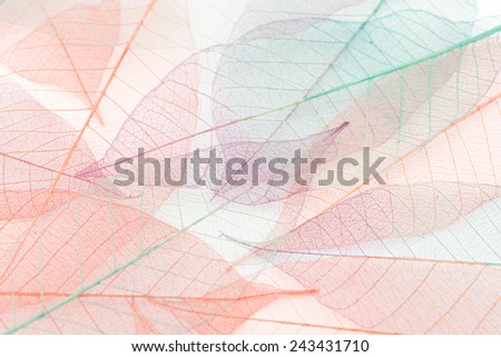 Seamless leaves background