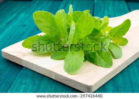 bunch of fresh organic basil in olive cutting board on rustic wooden background