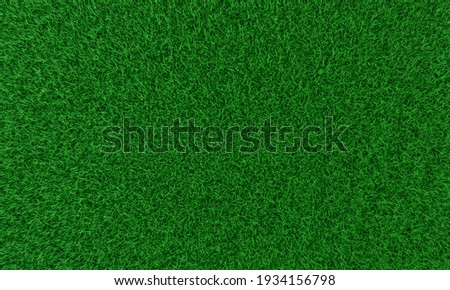 Top view Fresh green lawns for background, backdrop or wallpaper. Plains and grasses of various sizes are neat and tidy. The lawn surface is evenly shining and bright.3D Rendering