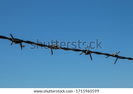 Similar – Tense barbed wire metal