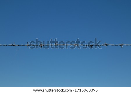 Similar – Tense barbed wire metal