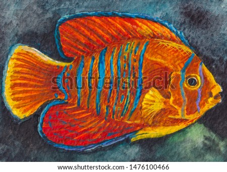 Yellow - orange blue striped tropical fish. Ocean wildlife animals