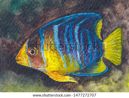 Yellow - blue striped tropical fish. Ocean wildlife animals
