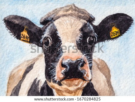 Cow face on the farm. Blue sky on background. Watercolor painting.