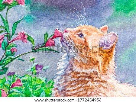 Cute kitten in the garden. Red cat sniffing pink flowers. Watercolor painting