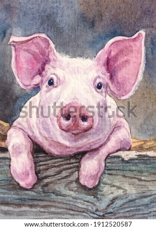 Pig. Farm animals. Cute baby piggy. Watercolor painting. Acrylic drawing art.