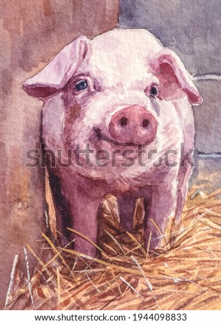 Pig. Farm animals. Cute pink baby piggy. Oink Oink sound. Watercolor painting. Acrylic drawing art.