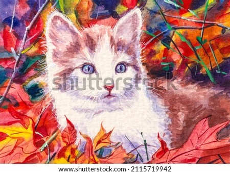 Kitten. Cute fluffy cat. Home pet. Autumn red tree leaves. Good for greeting card. Watercolor painting. Acrylic drawing art. A piece of art. 