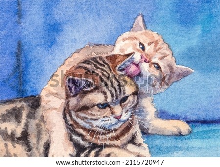 Kitten. Cute fluffy cat. Two Home pet.  Good for greeting card. Watercolor painting. Acrylic drawing art. A piece of art. 