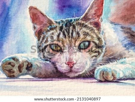 Cat or Kitten. Cute home pet. Watercolor painting. Acrylic drawing art. A piece of art. 