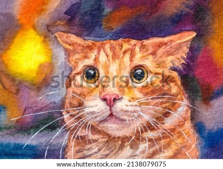 Cat. Funny cat face. Cute fluffy red kitten. Home pet. Scared face. Watercolor painting. Acrylic drawing art. A piece of art. 