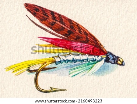 Lure for fly fishing. Fake Insect or bait with sharp hook. Fish equipment. Colored feathers birds for trout fishing. Watercolor painting. Acrylic drawing art.